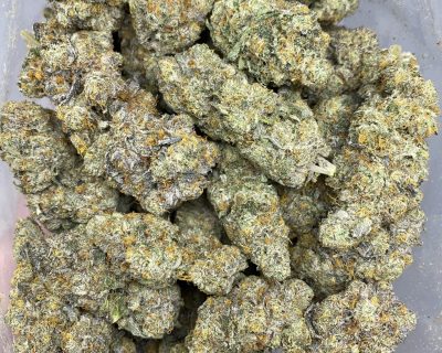 ANIMAL COOKIES (EXOTIC) - Image 3